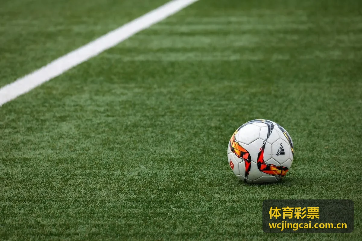 体育彩票理性参与指南